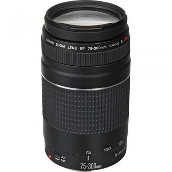 Canon EF 75-300mm f/4-5.6 III USM Telephoto Zoom Lens for Canon SLR Cameras